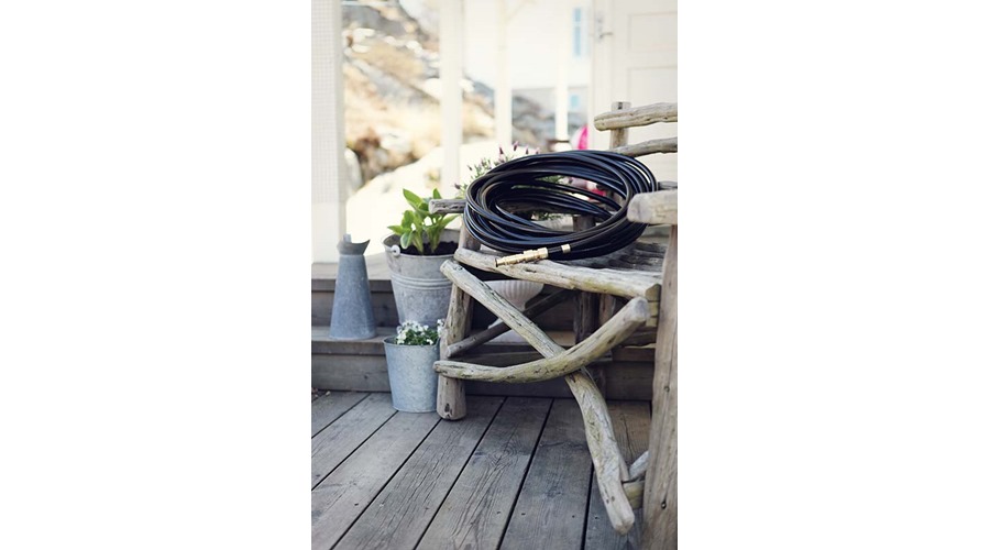 Garden Glory Black swan_gold digger2