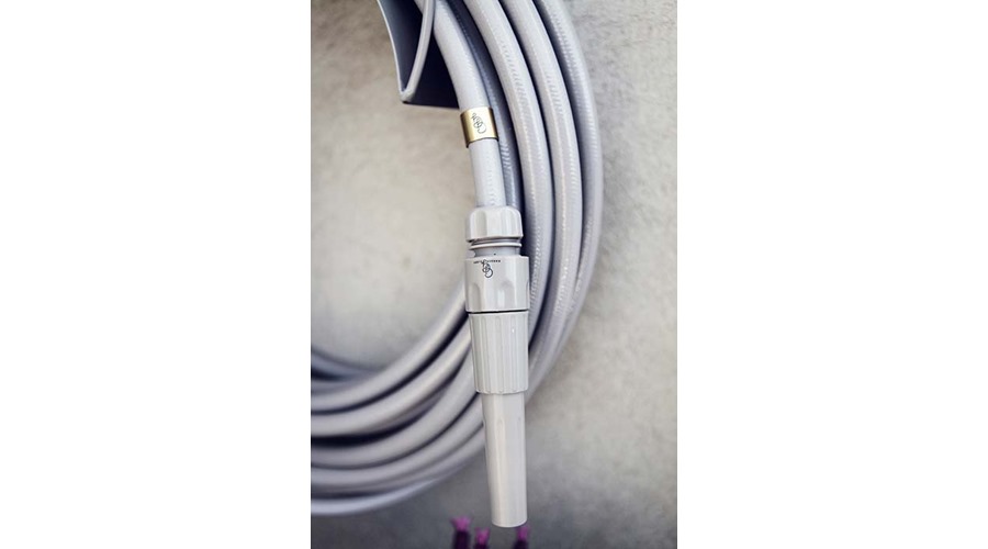 Garden Glory Graceful-rock_closeup